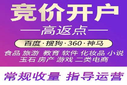 大数据分析在竞价广告中的应用